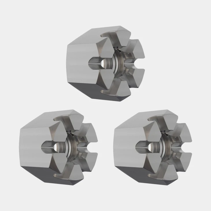 Stainless Castle Nuts